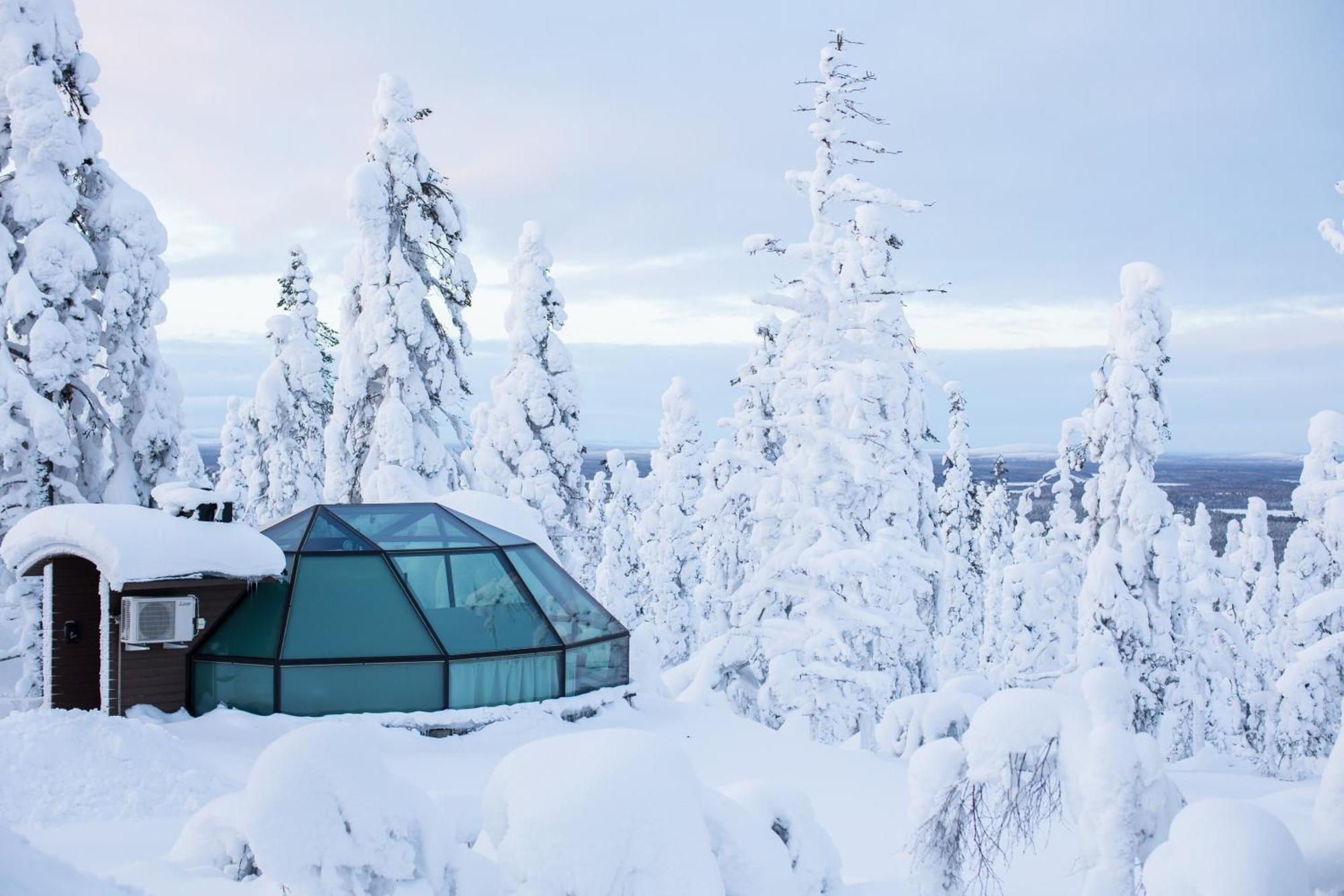 Prime Superior Igloo Forest Side